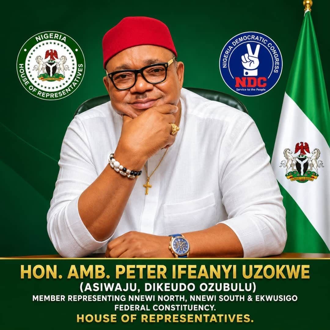 Hon. Amb. Peter Ifeanyi Uzokwe